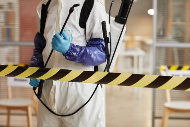 Professional Hoarding Cleanup technician working in Encino, TX